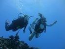 Hawaii Scuba divng 46