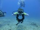 Hawaii Scuba divng 49