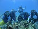 Hawaii Scuba divng 51