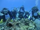 Hawaii Scuba divng 51