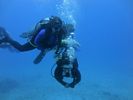 Hawaii Scuba divng 53