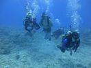 Hawaii Scuba divng 05