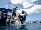 Hawaii Scuba divng 65