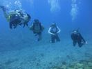 Hawaii Scuba divng 07