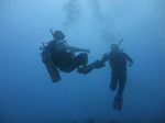 Hawaii Scuba divng 10