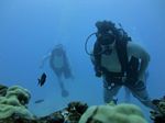 Hawaii Scuba divng 01