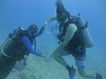 Hawaii Scuba divng 28