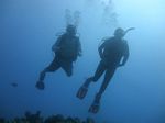 Hawaii Scuba divng 30