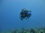 Hawaii Scuba divng 32