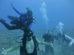 Hawaii Scuba divng 35