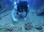 Hawaii Scuba divng 66