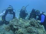 Hawaii Scuba divng 06