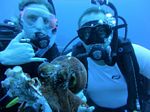 Hawaii Scuba divng 77