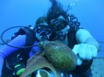 Hawaii Scuba divng 78