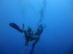 Hawaii Scuba divng 86