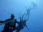 Hawaii Scuba divng 87