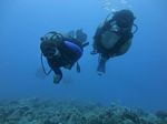 Hawaii Scuba divng 94