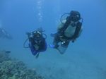 Hawaii Scuba divng 95