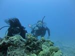 Hawaii Scuba divng 96