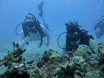 Hawaii Scuba divng 97