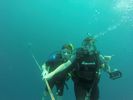 Hawaii Scuba divng 48