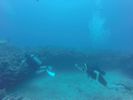 Hawaii Scuba divng 79