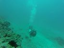 Hawaii Scuba divng 88