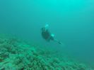 Hawaii Scuba divng 99