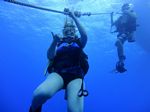 Hawaii Scuba divng 10