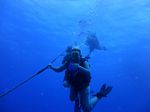 Hawaii Scuba divng 12