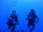 Hawaii Scuba divng 14