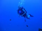 Hawaii Scuba divng 15