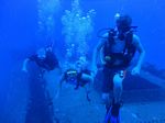 Hawaii Scuba divng 16