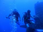 Hawaii Scuba divng 20