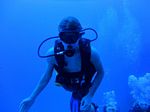 Hawaii Scuba divng 23