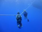 Hawaii Scuba divng 33