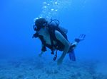 Hawaii Scuba divng 36