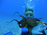 Hawaii Scuba divng 42