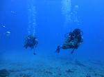 Hawaii Scuba divng 47