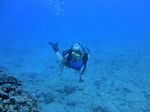 Hawaii Scuba divng 51