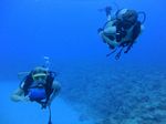 Hawaii Scuba divng 56