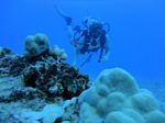 Hawaii Scuba divng 58