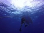 Hawaii Scuba divng 64