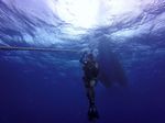 Hawaii Scuba divng 65