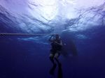 Hawaii Scuba divng 66