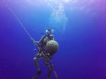 Hawaii Scuba divng 70