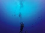 Hawaii Scuba divng 72