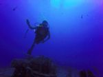 Hawaii Scuba divng 74