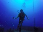 Hawaii Scuba divng 80