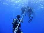 Hawaii Scuba divng 08